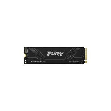 SSD Kingston FURY Renegade G5 4Tb M.2 NVMe (SFYR2S/4T0)