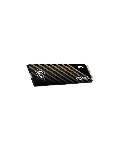 SSD MSI Spatium M461 1Tb M.2 NVMe (S78-440L1D0-P83)