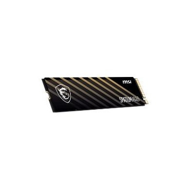 SSD MSI Spatium M461 1Tb M.2 NVMe (S78-440L1D0-P83)