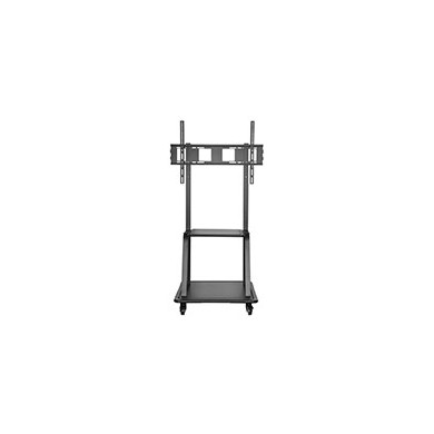 Soporte Suelo TOOQ 37"-100" Ruedas 150Kg (FS20100M-B)