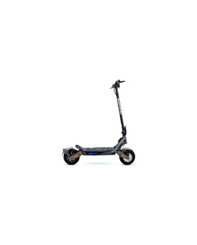 Patinete SmartGyro Rockway Evo 10" 800W Negro(SG27-551)